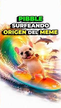 PIBBLE SURFING the HAPPIEST dog | MEME ORIGIN
