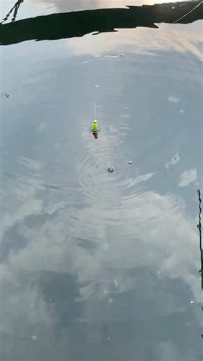 Perfect Fishing Shot - Too Satisfying! #shorts