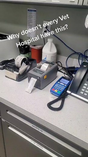 Innovative Medical Transporter at Village Vets Stone Mountain