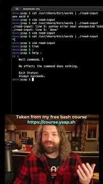 Read Input Line by Line in Bash