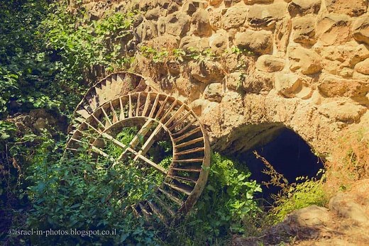 Tel Dan Nature Reserve - Visitors Guide (with Map and Trails)