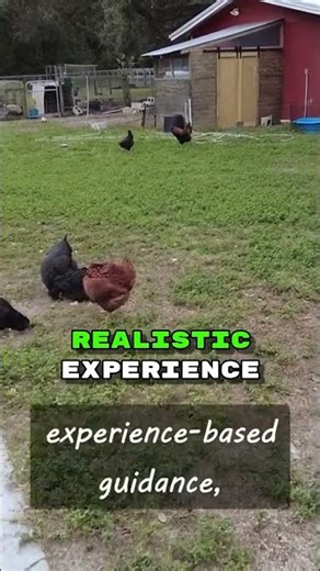 Why Chickens Are the Best Choice for Preppers #shorts