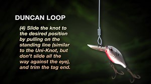 Make sure nothing gets away this fall by using SpiderWire® line for your Duncan Loop Knot. It's a versatile knot that allows the lure or fly to move freely. Unlike many other loop knots the Duncan's Loop allows you to easily adjust the size of the loop before the knot is pulled tight. Check out this video to see more: | Spiderwire