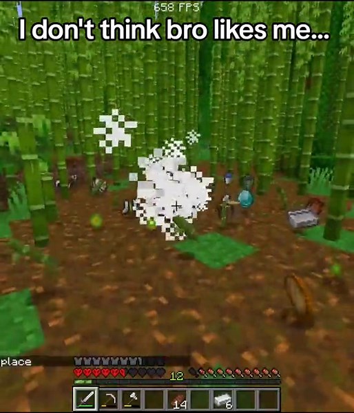 Funny Minecraft Skit: I Kept Killing Bro!