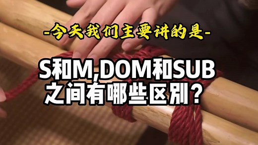 S和M，Dom和Sub之间有哪些区别？