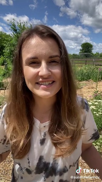 Transforming Grass into Beautiful Gardens