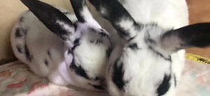 2.1K views · 171 reactions | Update: I’m so thankful for the 12 years...