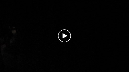 Naples Botanical Garden Cam