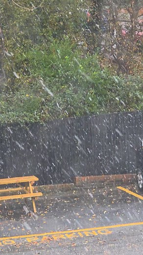 It's snowing | Julie Murphy