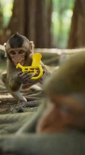 Baby Monkey Pranks Sleeping Mom with a Trumpet! 😂🐒