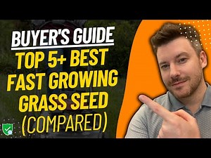 TOP 5 Best Grass Seeds | Fast Growing Grass Seed Reviews (2025)