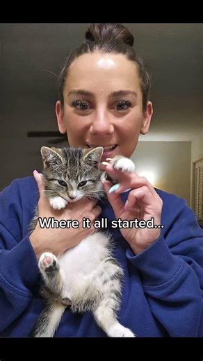 I love my babies so much 😻