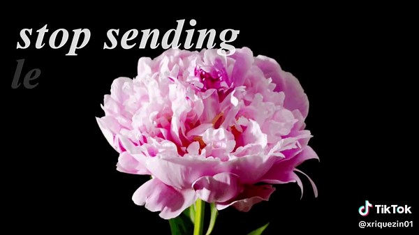 Radiohead Motion Picture Soundtrack Music Video