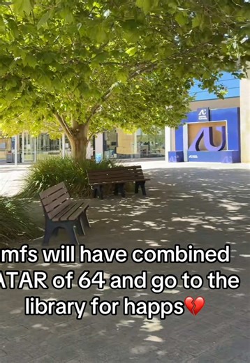 Exploring the Library: A Guided Scout Experience