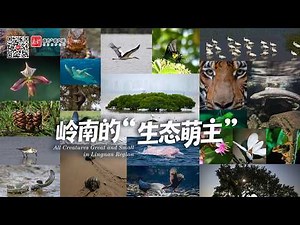 All Creatures Great and Small in Lingnan Region