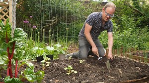 6.9K views · 290 reactions | It's the big plant-out! Over the long...