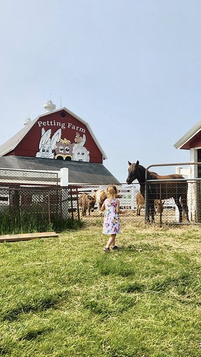 It’s offically PETTING FARM season 🚜 and the PERFECT time to visit the animals! 🐾 If you have barnyard lovers at home, here are the BEST PLACES TO FIND FARM ANIMALS in metro Detroit! 🐴 Domino’s @petting_farm (Ann Arbor): Open from 10am to 4pm Monday, Friday and Saturday, from 12pm to 6pm on Sunday. 🐑 Kensington @mimetroparks Farm Center (Milford): Open daily from 9am to 5pm 🐄 Wolcott Mill Farm Center (Ray): Open daily from 9am to 5pm 🐔 Heritage Park Petting Farm @cityoftaylormi (Taylor): O