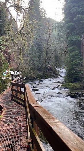 Exploring Sweet Creek Falls in Mapleton, Oregon