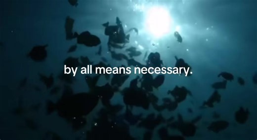 #serialentrepreneur #hustle | entrepreneur