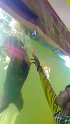 The Lemonade Mermaid | mermaid