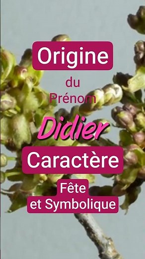 ✨ Didier : signification et origine 💖 #shorts #sign #prénom #garçon #didier #caractère #saint