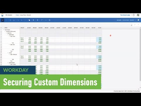 Securing Custom Dimensions with Access Rules in Adaptive Planning