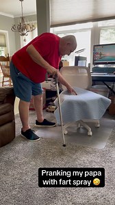 Fart spray prank 🤣 Papa: “Did you sh** in my chair?!”Gram: no 🤭#grandparents #grandpa #family #prank #fartspray #funny #laugh | thejockandbelleshow