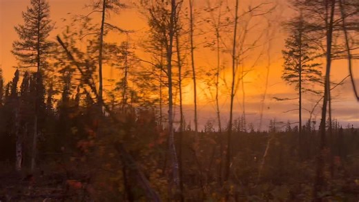 Alexandre Fortin on Reels