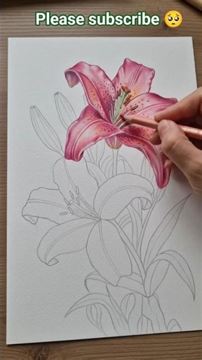 🌺🌺Java full drawing art Java full painting #@777artofficial #youtubeshort #foryou #video #sketch