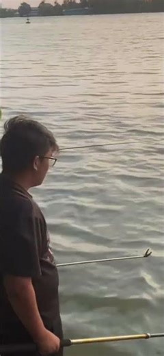 Chép Chào Hoàng Hôn