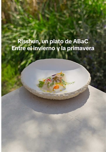 Risshun: El Verdadero Inicio de la Primavera en Japón
