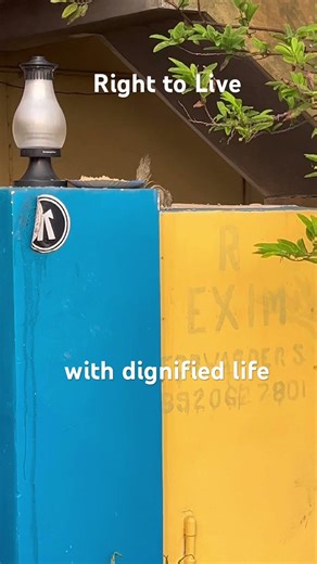 Why Animals Deserve Equal Rights