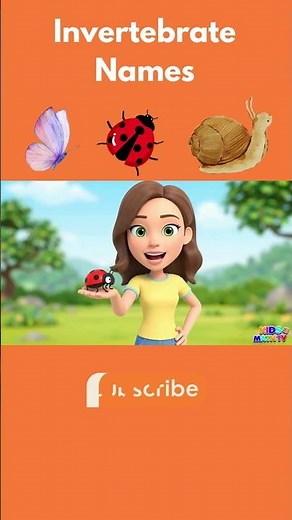 Invertebrate Names for Kids | Part #2 #educationalvideo #kidseducatio