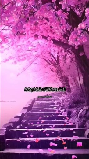 Chaleya Song Lyrics 🎼 | Poonam Official K