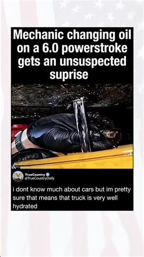 Mechanic changing oil on a 6.0 powerstroke gets an unsuspected suprise