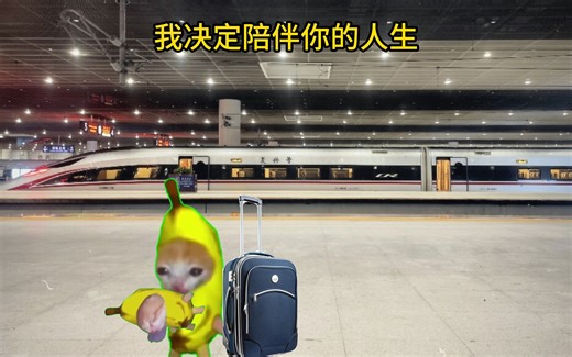 【猫meme】我的单身表哥和他的瑞典女儿04