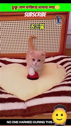 Survival Skills: SIMPLE and USEFUL #bushcraft #camping #outdoor