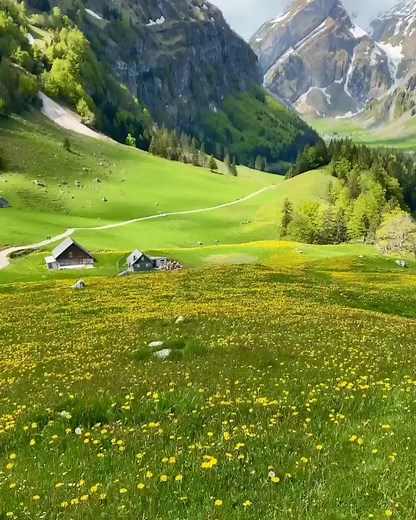 Beauty of Himalayas #lovelynature #himalayas #himalayasin #himalayan #mountains #mountainview #mountainlife #naturelover #nature #natural #himachal #himachaltourism #uttrakhand #uttarakhand #Arunachal #ArunachalPradesh #arunachaldiaries #arunachalpradeshtourism | Dooars Discovery India