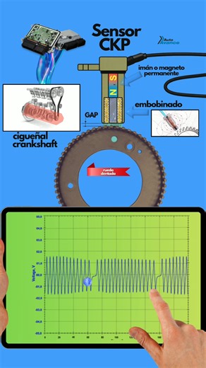 El CKP inductivo (sensor de posición de cigüeñal de tipo reluctancia variable) trabaja bajo el principio de inducción electromagnética. Internamente posee un imán permanente y una bobina; cuando los dientes de la rueda fónica pasan frente al sensor, se genera una variación en el flujo magnético que induce una señal de corriente alterna (AC). La amplitud de esa señal depende directamente de la velocidad de giro: a bajas RPM el voltaje es bajo y a altas RPM aumenta considerablemente. La ECU interp