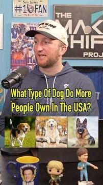 What Type Of Dog Do More People Own In The USA? #shorts #usa #america #pets #dogs