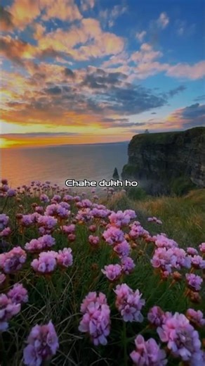 Shahe Dukh ho Shahe Shukh ho❤️‍🩹🫂||aesthetic lyrics video||#love #lovesong #lyricsstatus #aesthetic