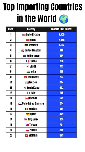 📦🌍 Top Importing Countries in the World #shorts #import #ranking
