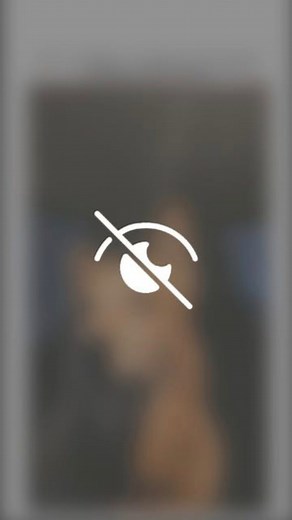 Memes | Movies | Streamers ✨ | Foreign Object 💀 | Instagram