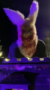 Get ready for Dangling Carrot's Grisly Garden, opening this October! 💀🐰 Get your tickets or donate now 👉 danglingcarrotcreative.com Produced by Film Industry experts, this haunted event supports out-of-work industry professionals. Join us for a spine-chilling night and help those who've been hit hard by the strikes. #GrislyGarden #SupportFilmIndustry #halloween #halloween2023 #hauntedhouse #hauntedhouses | Stan Winston School of Character Arts