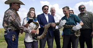 It's time for the annual Python Challenge