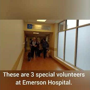 Pet therapy dogs are paws-itively helping patients at Emerson Hospital.