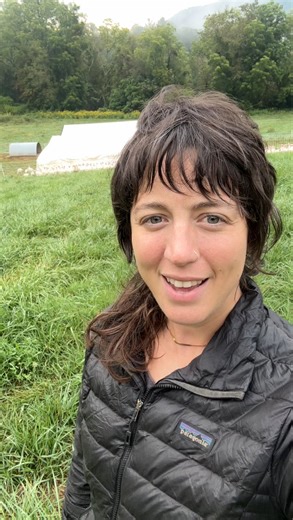 Raising and processing turkeys on a small farm is a true team effort — from coordinating labor to renting refrigeration and packaging each bird with care. This year, we’ve fine-tuned the feed recipe and switched to all-female birds for a more consistent, plump, table-ready turkey. Since this video was taken, we’ve processed our second batch, and we’re over the moon with how beautiful they are looking. 🦃 The overall average weight is 16–18 lbs, with some smaller and some larger — we think these 