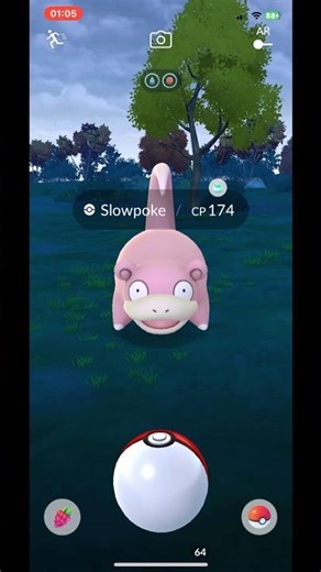 Pokémon GO. - Female Slowpoke. #Pokémon #Pokédex #Slowpoke