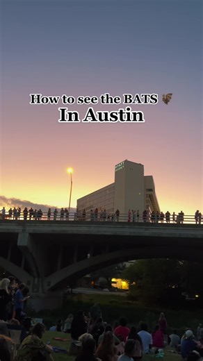 Experience the Largest Bat Colony in North America Under Congress Bridge, Austin