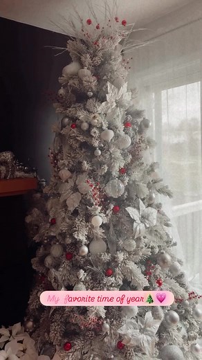 Absolute Advantage Travel on Reels